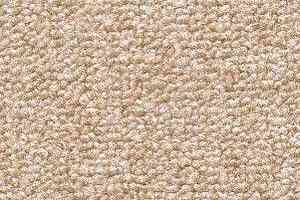 Ковролин Radici Trotter Tortora 2419 фото  | FLOORDEALER